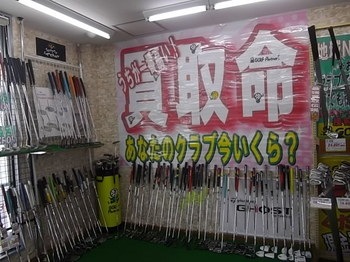IMGP3712.JPG