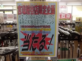 IMGP3713.JPG