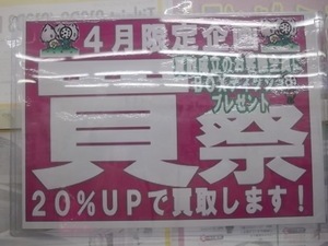 IMGP4329.JPG