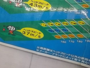IMGP8360.JPG
