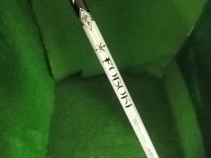 IMGP8698.JPG