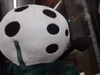 IMGP0094.JPG