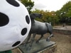DSCN0009.JPG