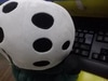 IMGP3867.JPG