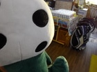 IMGP4742.JPG