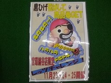 IMGP6661.JPG