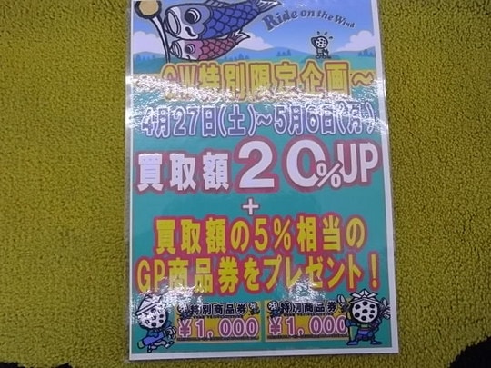 IMGP9582.JPG