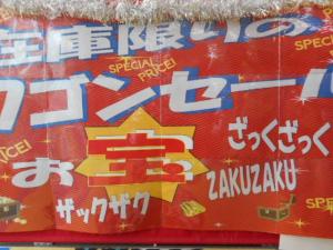 DSCN0428.JPG