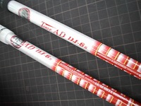 2012041704.JPG