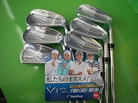 ViQFG20121.JPG