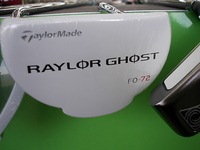 raylorghost2.JPG