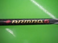 ameijinnguDSCI0004.JPG
