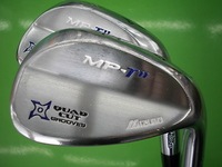miwt11DSCI0004.JPG