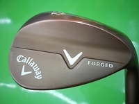 xforgedDSCI0004.JPG