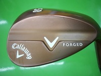 xforgedDSCI0009.JPG