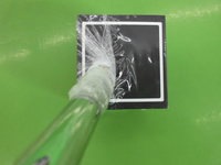 20150625CIMG8265.JPG