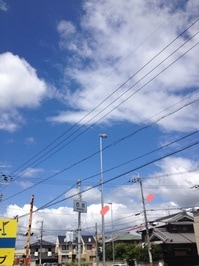 123.jpgのサムネール画像