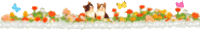 line.gif