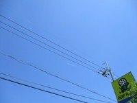 IMG_8979.JPG