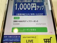お得なクーポン配信しました！