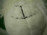 20130807 001.jpg