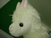 20130807 002.jpg