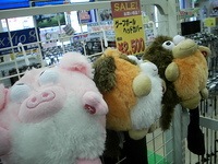 20140227 002.jpg