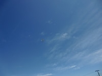 CIMG2785.JPG