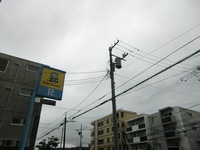CIMG2961.JPG