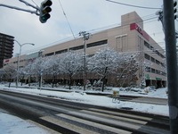 CIMG4035.JPG