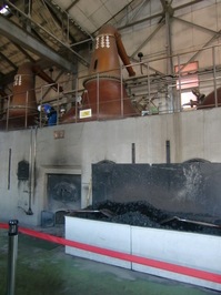 CIMG5140.JPG