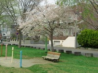 CIMG5192.JPG