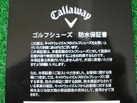 DSCIＣＷ　シューず4.JPG