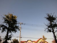 CIMG5821.JPG