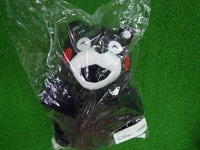 DSCN4535.JPG