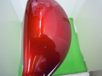 DSCN1795.JPG