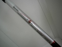 DSCI6212.JPG