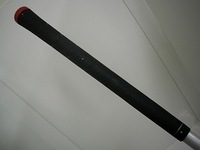 DSCI6213.JPG
