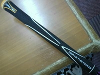 DSCI4530.JPG