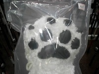 DSCI4874.JPG