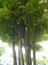 P1020443.JPG