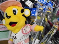 DSCN6730.jpg