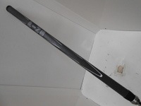 DSCN8579.jpg