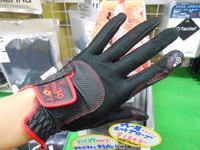 DSCN8655.jpg