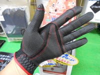 DSCN8657.jpg