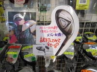 IMG_8684.jpg