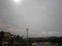 IMG_2749.jpg