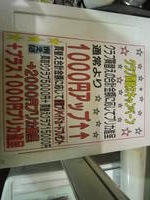 IMG_2587.jpg