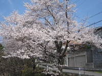 IMG_2642.jpg
