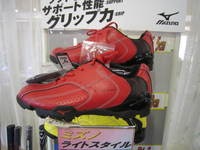 IMG_2713.jpg